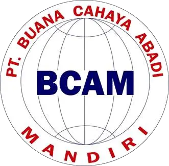 Logo Website